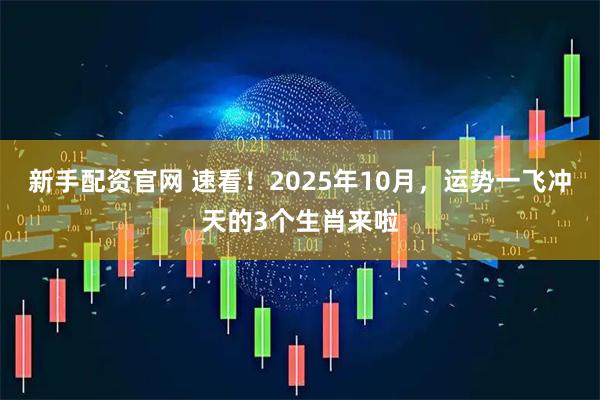新手配资官网 速看！2025年10月，运势一飞冲天的3个生肖来啦