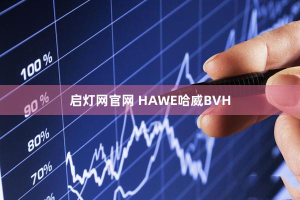 启灯网官网 HAWE哈威BVH